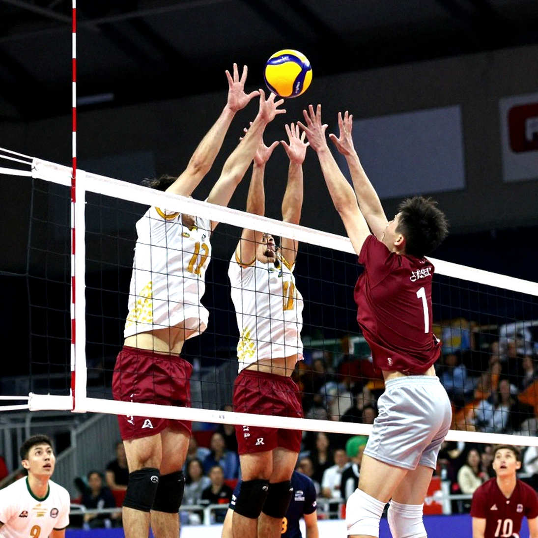 The Stress Chain in Volleyball: When Schedule Density Rewrites a Season's Knees The Stress Chain in Volleyball: When Schedule Density Rewrites a Season's Knees