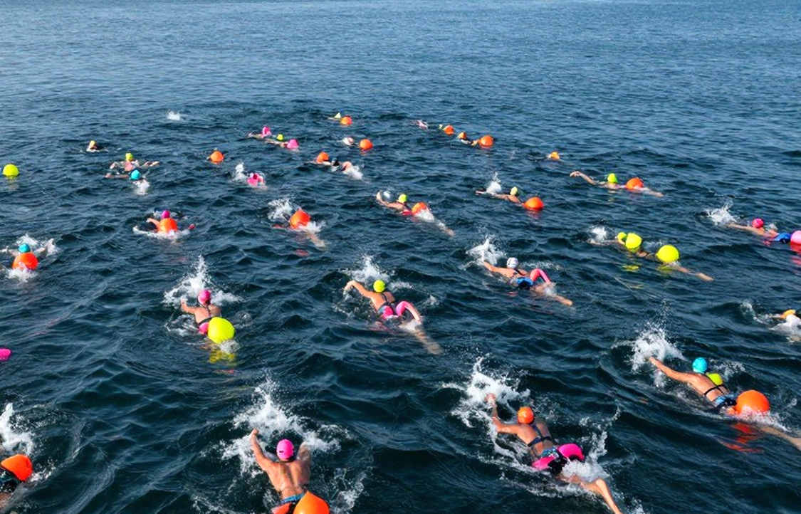 Ten Outdoor Lanes and an Unshaped Program: Inside FLEET Swimming's Head Coach Search