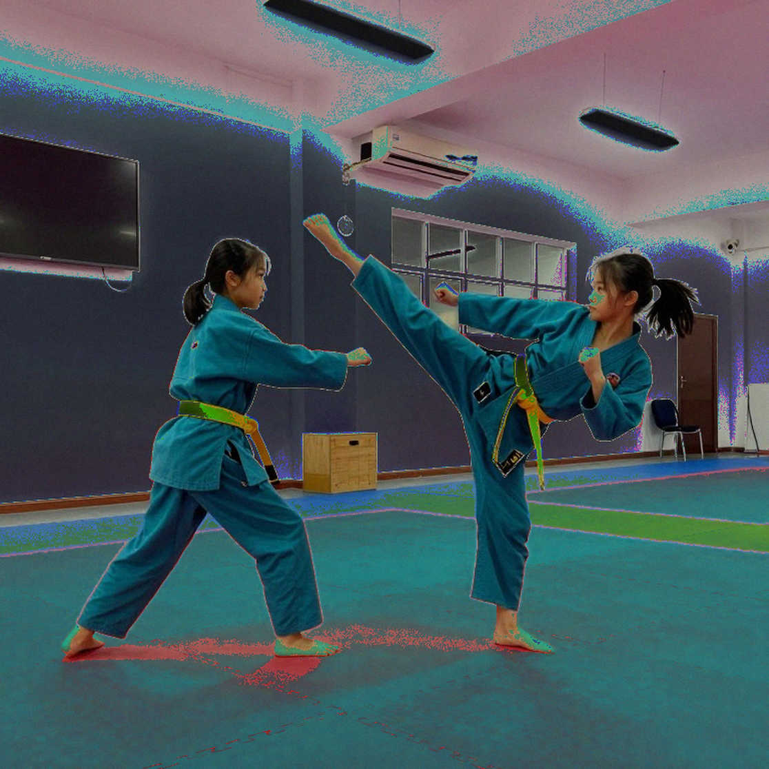 Wushu taolu Việt Nam: ba tầng điểm số và khoảng trống mà bảng điểm không nói
