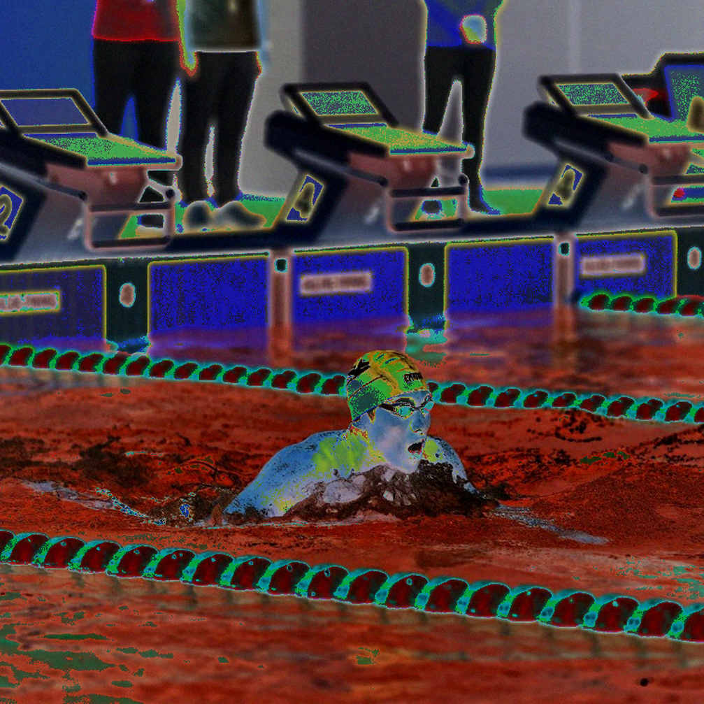 Swimming Data Analysis: Insufficient Information Hinders Deep Analysis Swimming Data Analysis: Insufficient Information Hinders Deep Analysis