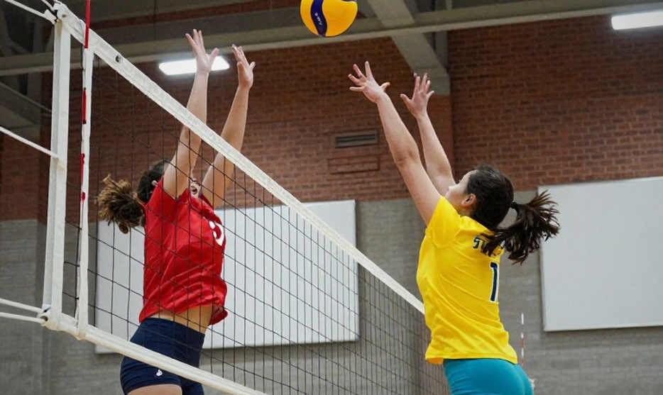 Brazil vô địch Nam Mỹ và giành vé Olympic: Ba con số 13-12-11, một chấn thương và tấm vé còn phải kiểm chứng Brazil vô địch Nam Mỹ và giành vé Olympic: Ba con số 13-12-11, một chấn thương và tấm vé còn phải kiểm chứng