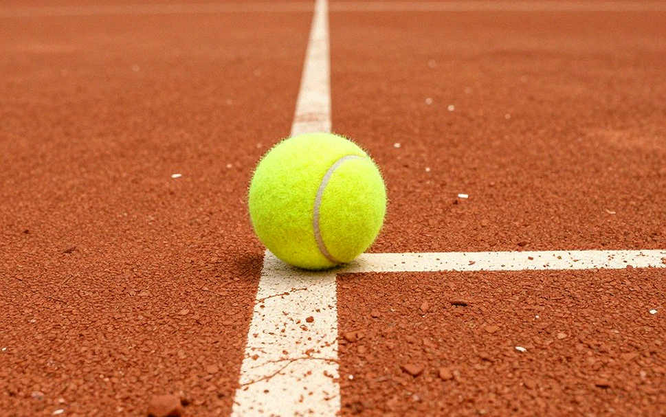 Giải mã sụn chêm của Djokovic: 27 ngày từ Paris đến Wimbledon Giải mã sụn chêm của Djokovic: 27 ngày từ Paris đến Wimbledon